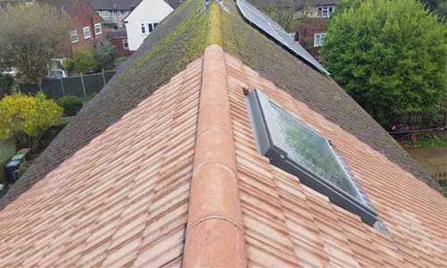 roof tile cleaning